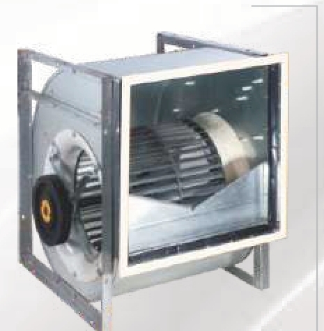 Fan